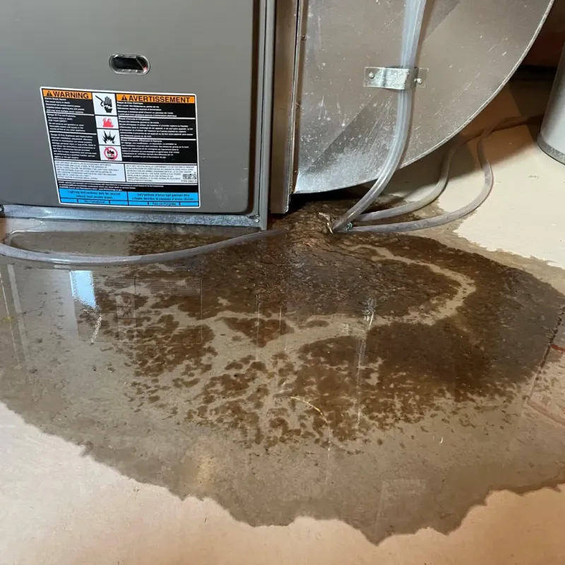 Appliance Leak Cleanup in Charleston, ME